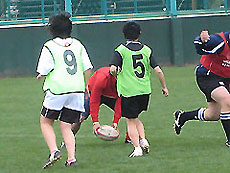 05.jpg