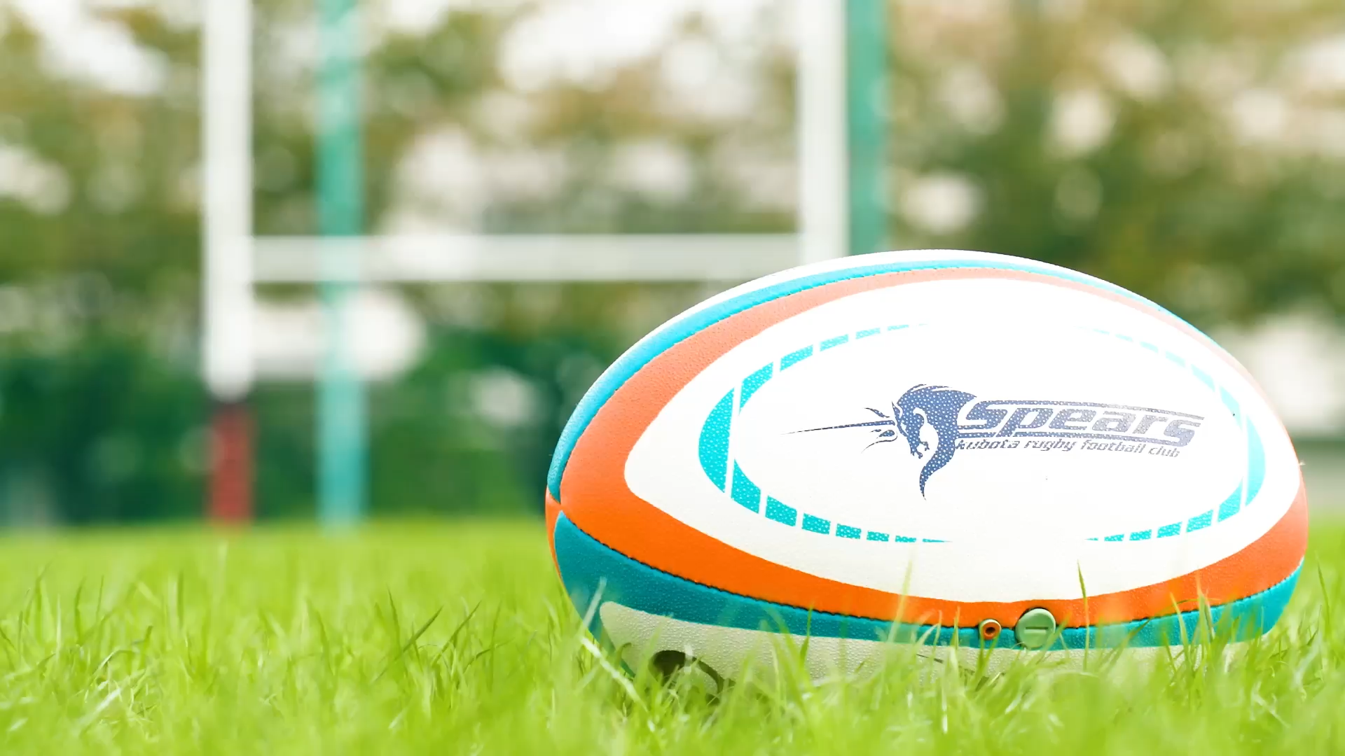 ファン｜会員限定ページ｜クボタスピアーズ